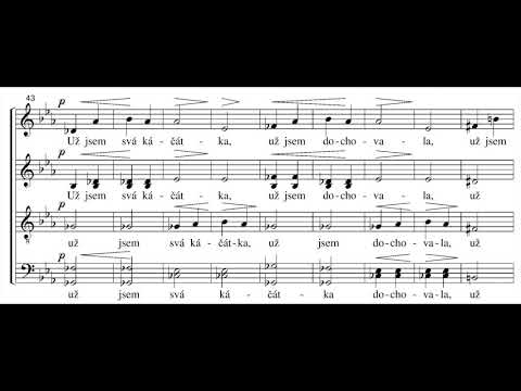 Janáček - Kačena divoká (Wild Duck), JW 4/18