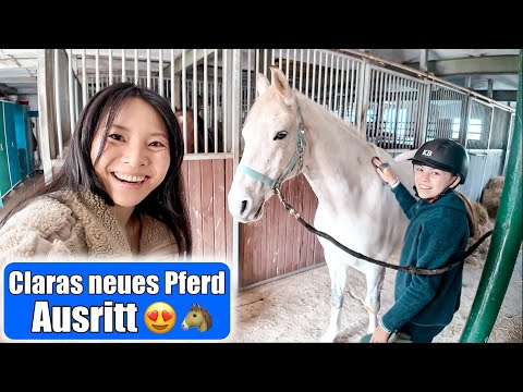 Clara's new horse 😍 Come with me to the stable! 1 day of pony riding | Mamiseelen