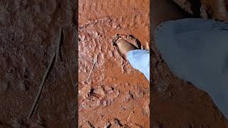 5500 foot. Snow, Freeze, thaw, FREAKIN MUD!!! - Juniper Berry Homestead