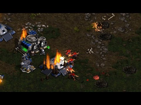 Jaedong 🇰🇷 (Z) vs Royal 🇰🇷 (T) on Neo Sylphid - StarCraft - Brood War