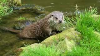 A tour of Norfolk England by Ian Dinmore