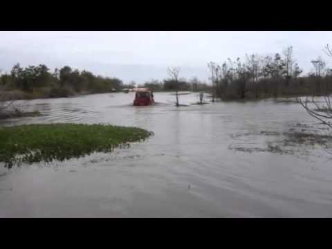 Festrilha Atolados RS tuia chapolim