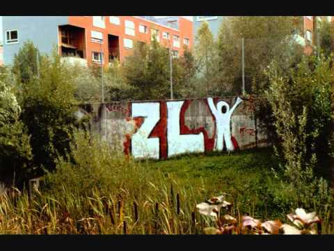 FC Zürich Ultras Graffitis Tags Streetarts