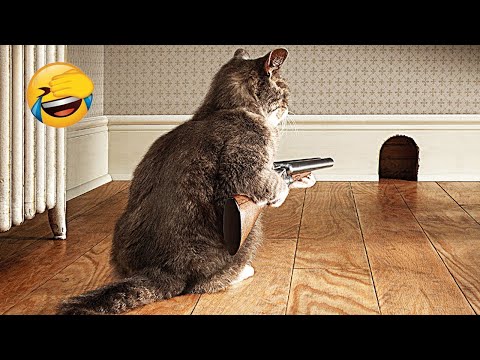 Funniest Animals 2023 - Funny Cats and Dogs - Funny Animal Videos