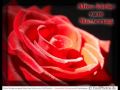 На улице тишина .wmv 