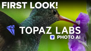 FIRST Look! Topaz Photo AI Noise and Sharpening