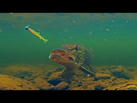 AGRESSIVE PIKE ATTACK - FISHING IN LAPLAND