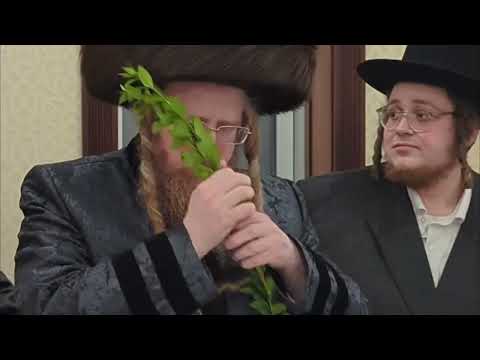 Shomrei Emunim Rebbe Making Havdalah In Khal chassidim Chicago - Kislev 5786