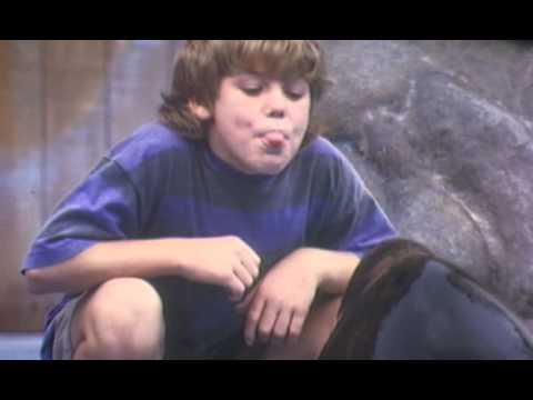 Sauvez willy (VF) - Bande Annonce