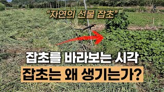 잡초는 왜 생기는가?
