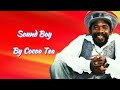 Cocoa Tea Sound Boy Lyrics Dub Remix NizzyBob