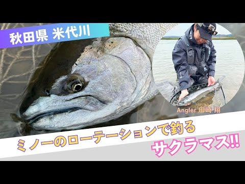 Vobler Tiemco Sumari 110F 11cm 10.5g 209 F