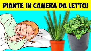 Le 10 Piante che Dovresti Tenere Nella Tua Camera Da Letto