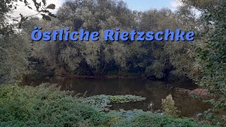 Östliche Rietzschke