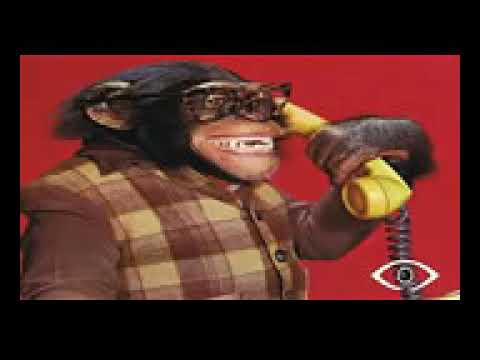 3 músicas para morrer de rir