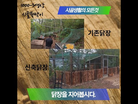 , title : '210617 닭장, 만들기, 시골생활, 시골, 강아지, 동물, 개, korea'
