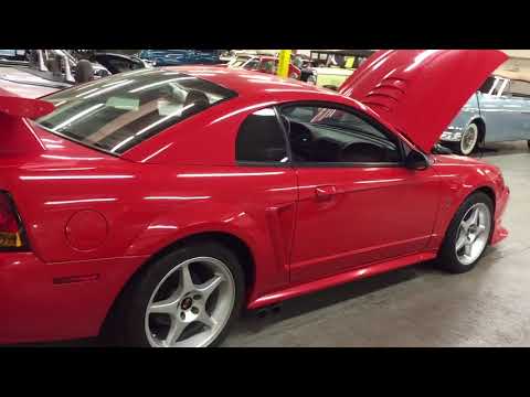 2000 Ford Mustang Cobra (CC-965871) for sale in Fredericksburg, Virginia