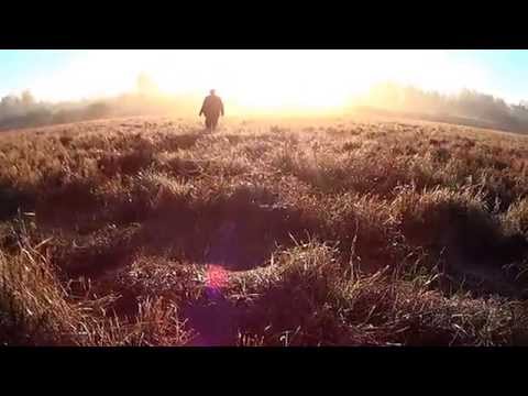 Driven hunt in Poland 2013