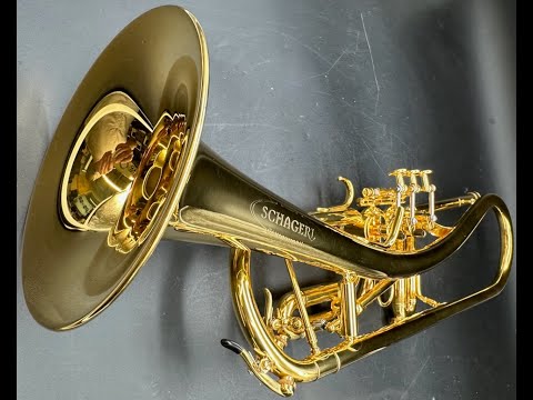 Schagerl Ganschhorn Light S/n 9659 GOLD PLATE “MINTY!”