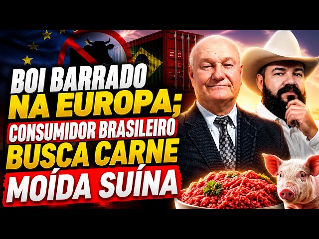 Boi barrado na Europa; Consumidor brasileiro busca carne moída suína.