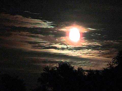 Younes Megri - Lili Twil (cover by Mehdi)