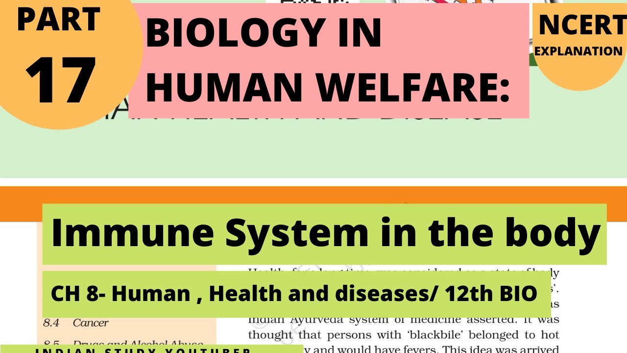 Biology in Human Welfare 17: Human health and disease | Immune System in the Body|12th Bio CH 8