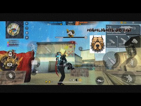 HIGHLIGHTS do Pitbull treinado 🧑🏽‍🚀🇧🇷💤💤