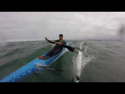 Free to Paddle 11.11.17