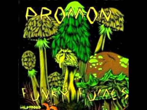 07. Promon - Gnillevart Emit (Funky Fumes)