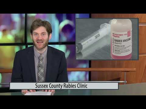 Sussex County Rabies Clinic