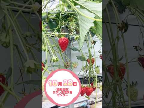 【10月28日（水）　南相馬市で開催！】食べて楽しく学べる！食と放射能に関する説明会(個人向け)