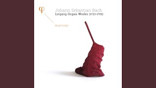 Organ Sonata No. 4 in E Minor, BWV 528: II. Andante