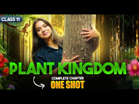 Plant Kingdom Class 11 One Shot | Class 11th Biology Chapter-3 Revision | CBSE 2025-26 Exam