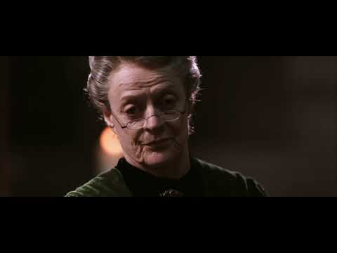 The Transfiguration Class - Harry Potter and the Chamber of Secrets