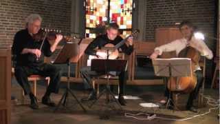 Trio Brantelid Härenstam Sparf plays Joseph Haydn Cassation in C