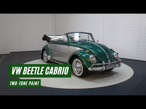 1964 Volkswagen Beetle (CC-1547197) for sale in Waalwijk, Noord-Brabant