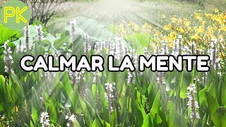 Musica relajante para relajar la mente y dejar de pensar