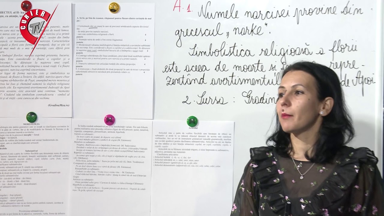 Limba ?i literatura român? pentru clasa a VIII a, lec?ia 4