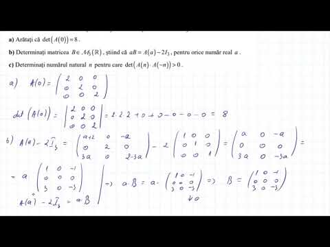 BAC 2021 MATE INFO - conform baremului oficial