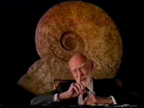 1991 年の科学 - 定義