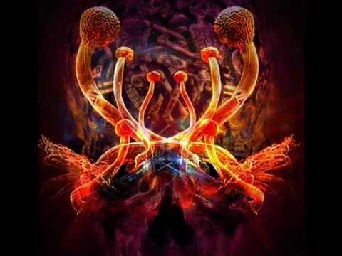 LeDruide & Freq36 - Voie Lactée