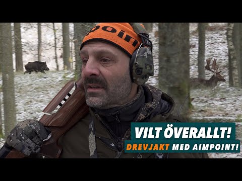 Drevjakt med 1400 viltobs!