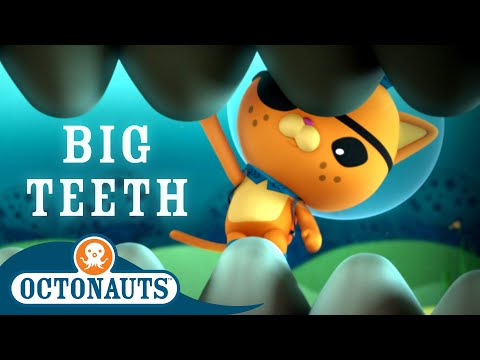 Octonauts - Big Teeth | Cartoons for Kids | Underwater Sea Education