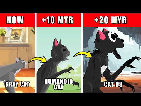 The Cat 99 Origin Evolution: How The Cat 99 Could Have Evolved