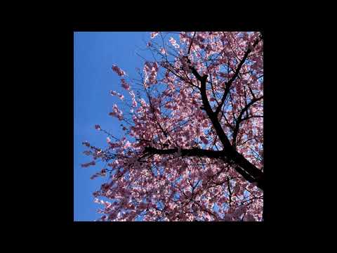 [Free] Pink Katana x Keule x House Type Beat - Stadt | (prod. Deymx) 2021