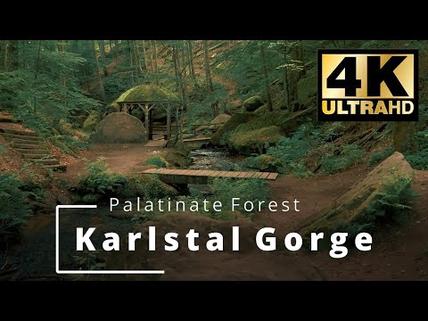 Karlstal Gorge | Palatinate Forest | Karlstalschlucht | Pfälzerwald | Trippstadt | Ultra HD 4K
