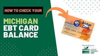 How to Check Michigan EBT Card Balance