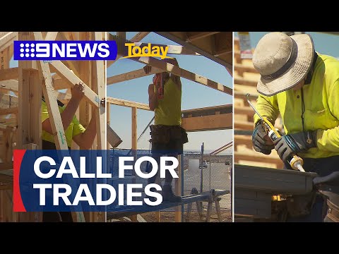 The bold move to address critical housing shortage in NSW | 9 News Australia
