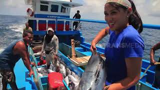 Download lagu Memancing Ikan Cakalang | INLINE (07/10/21) mp3 Download lagu Memancing Ikan Cakalang | INLINE (07/10/21) mp3