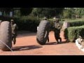 Zambian commandos training 1
